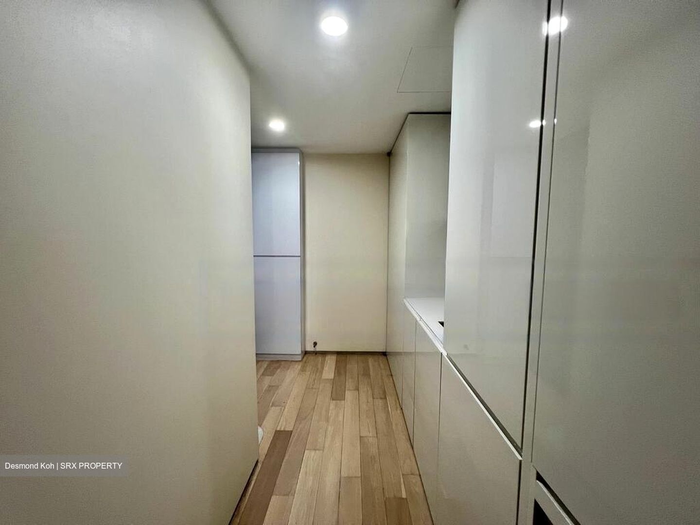 Skysuites@Anson (D2), Apartment #539874561